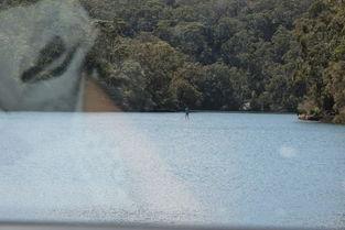 最新爆料白石,最新爆料揭示其不为人知的秘密